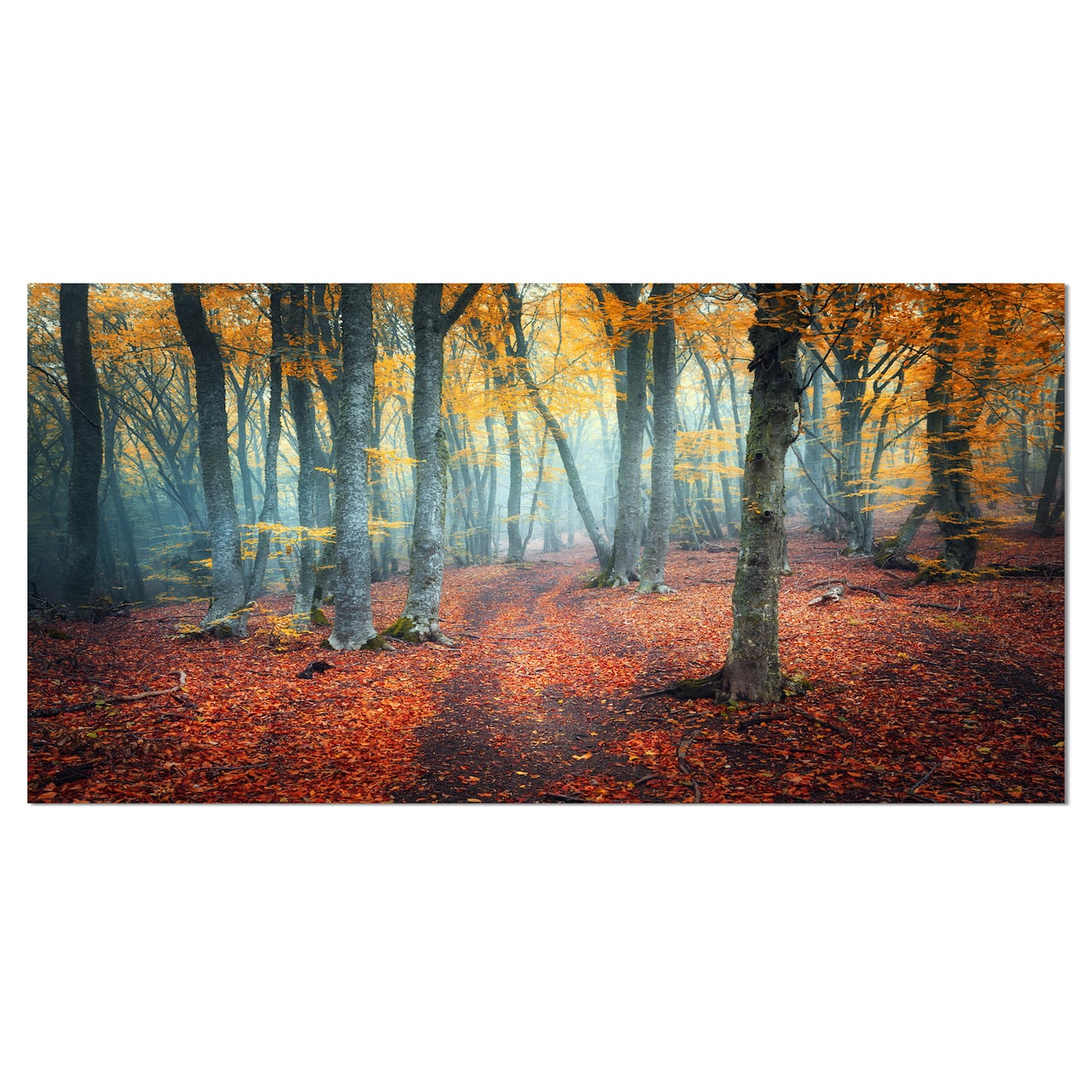 Designart - Red and Yellow Autumn Forest - Landscape Photography Canvas Print